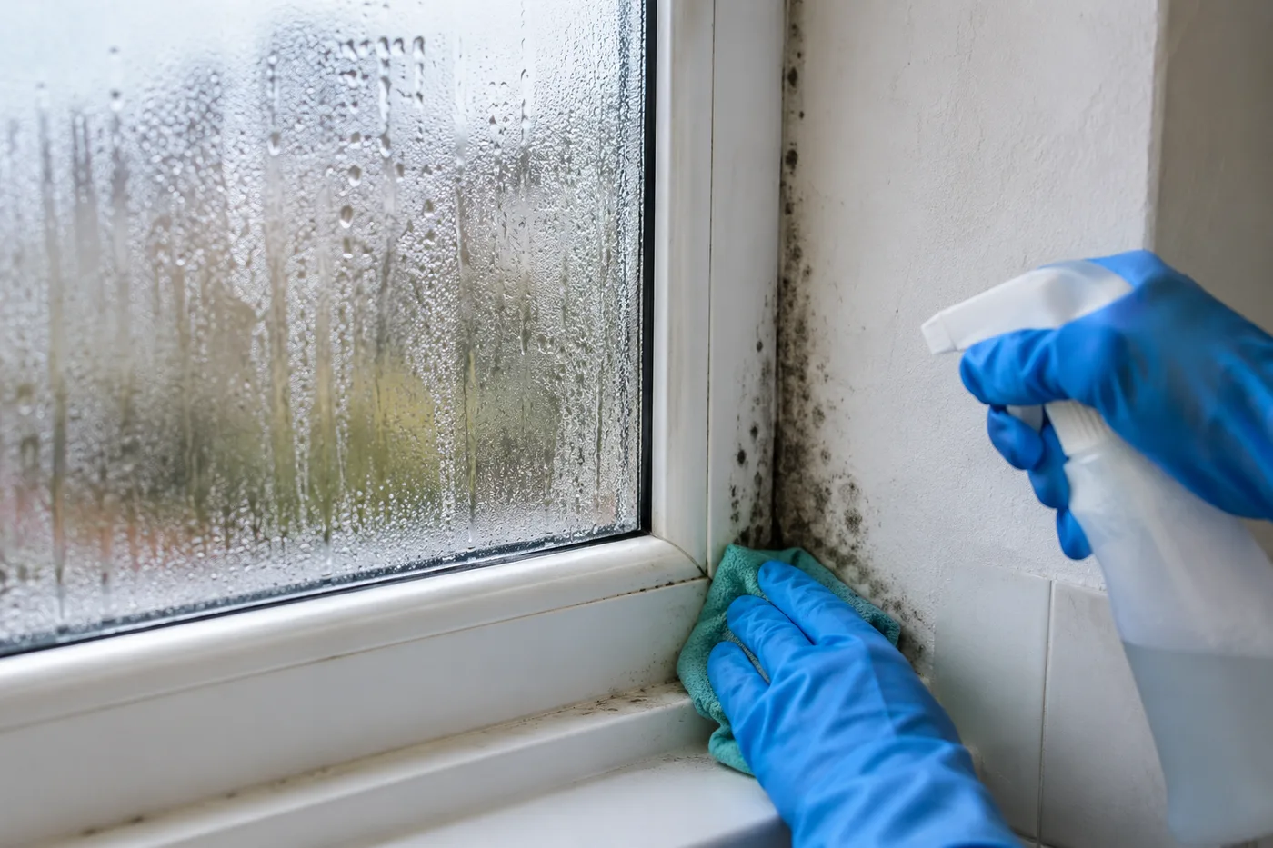Illustrative image: Condensation and mould around a window