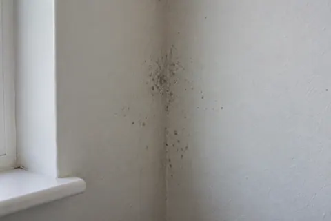 Dark surface speckles along a painted wall corner