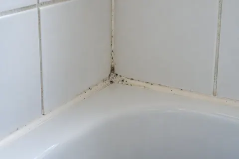 Dark speckles on a bathroom seal and grout joint