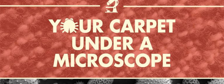 Carpet Under a Microscope - detailed Infographic