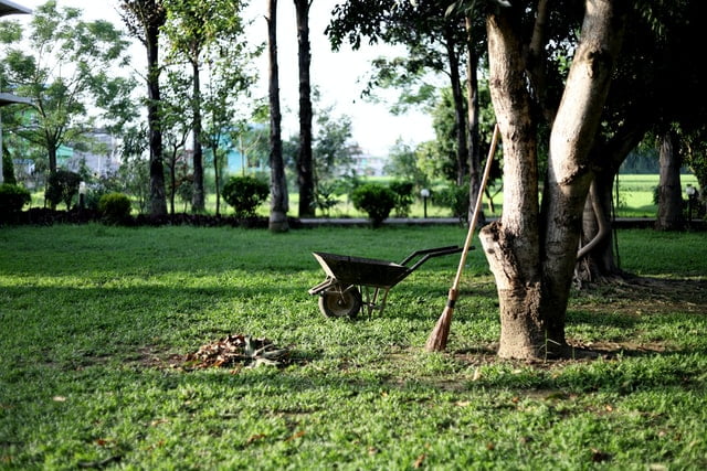 overgrown garden put to shape