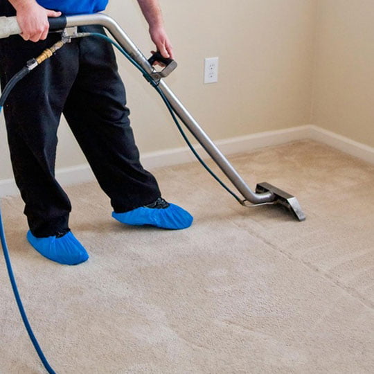 Professional Carpet Cleaners in London Hot Water & Dry Carpet Cleaning